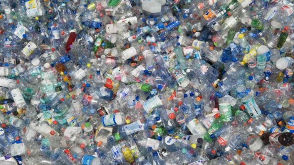 pile of plastic bottles