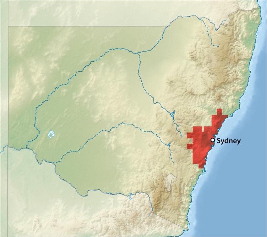 A map showing the distribution range of sydney funnel-web spiders in red.