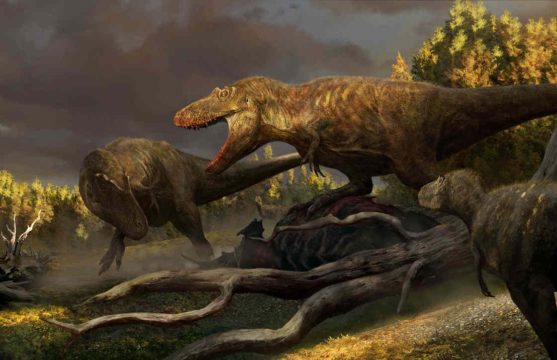 four-tyrannosuars-fight-over-a-carcass