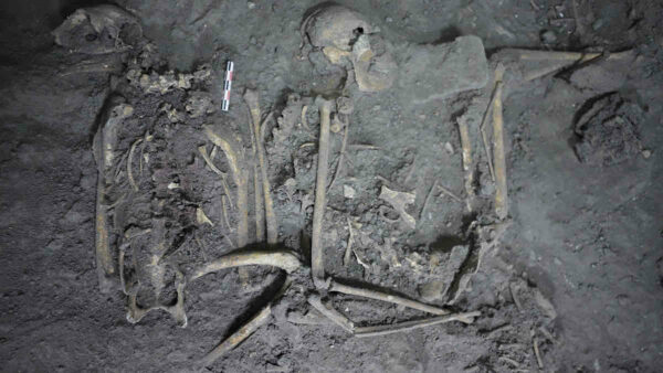 spider-monkey-skeleton-from-ancient-maya-found-in-mexico