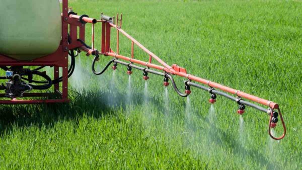 Tractor spraying herbicide over wheat field with sprayer. Propyzamide