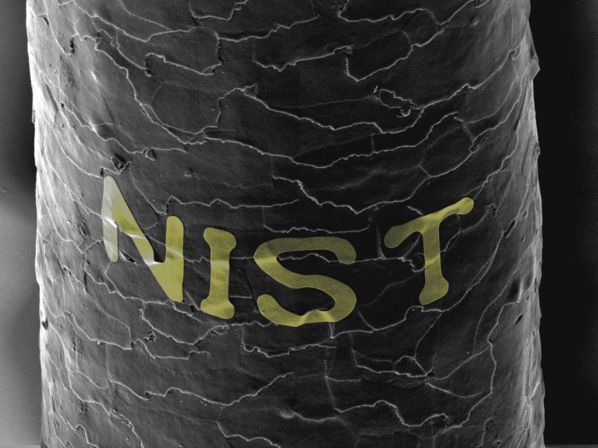 The word "NIST" printed onto a human hair, sugar