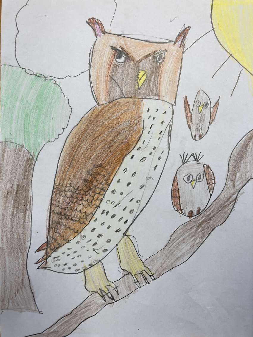child's drawing of three owls
