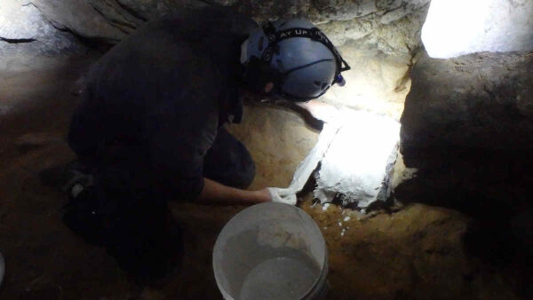 rockhampton-qld-cave-site-dig-giant-wombat