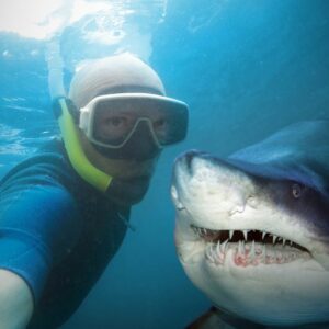 Diver and shark.
