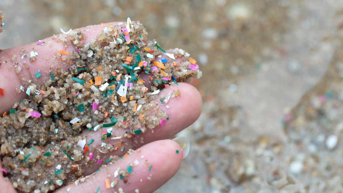hand on beach holding sand and microplastics