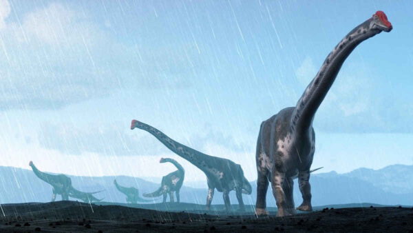 artwork-herd-of-sauropods-going-into-distance