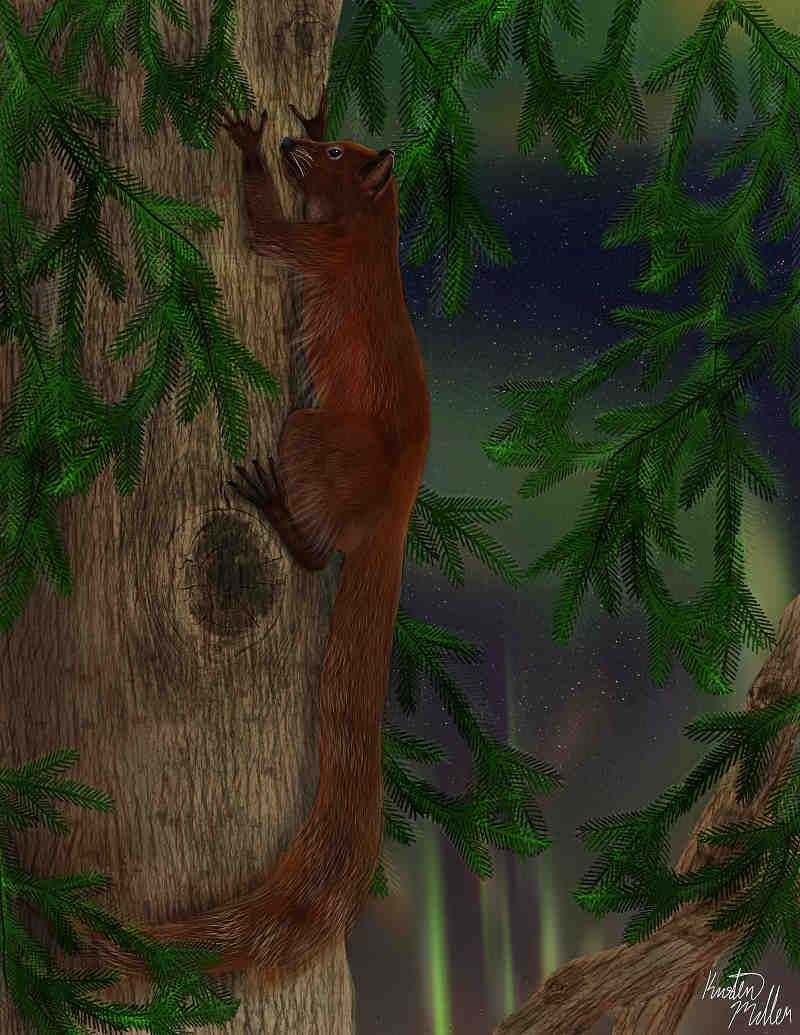 artist-drawing-of-ancient-brown-primate-relative-on-tree-in-night-with-northern-lights