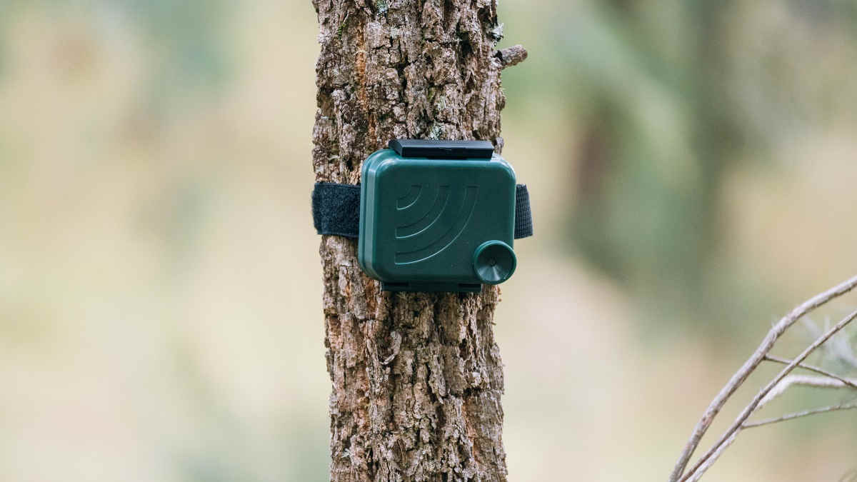 tree-mounted-microphone