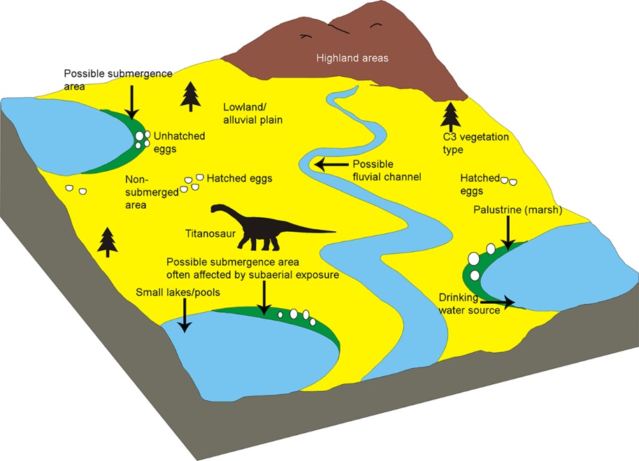 diagram-of-fossil-sauropod-eggs-nesting-site-india