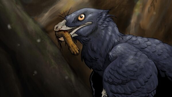 microraptor-feathered-dinosaur-with-mammal-foot-in-its-mouth-drawing