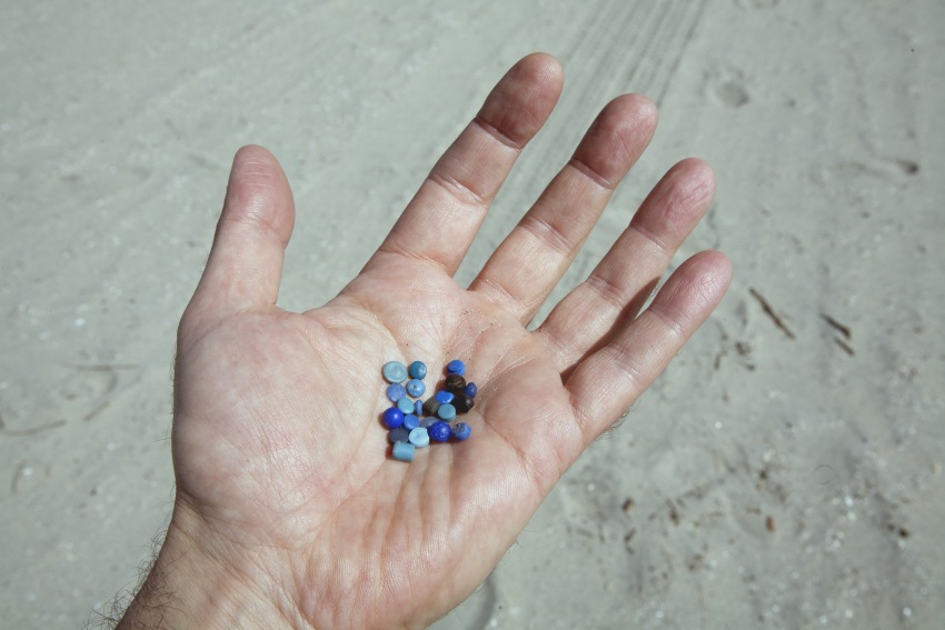 hand on beach holding microplastic nurdles