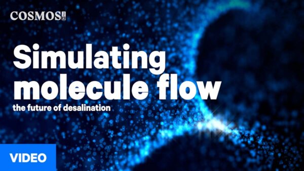 CosmosBriefing Simulating Molecule Flow WEB
