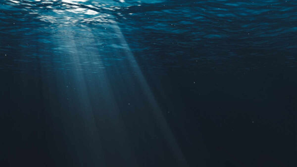 light-coming-through-surface-of-sea-water