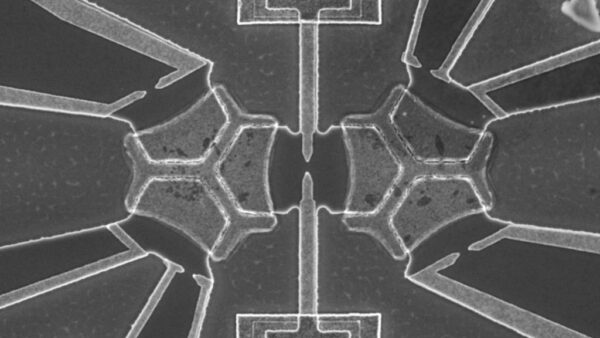 electron-microscope-of-quantum-simulator