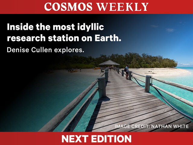 is it time to rebrand mummy brain? 9 Cw99 forwardpromo ads