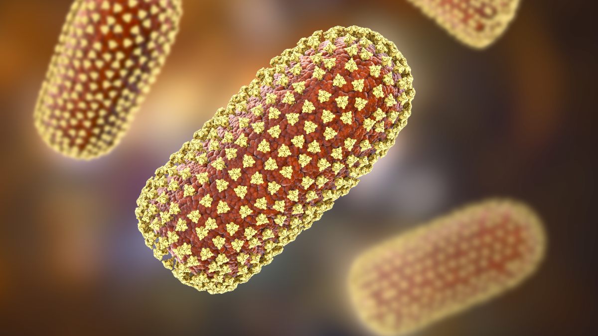 Rabies virus, illustration