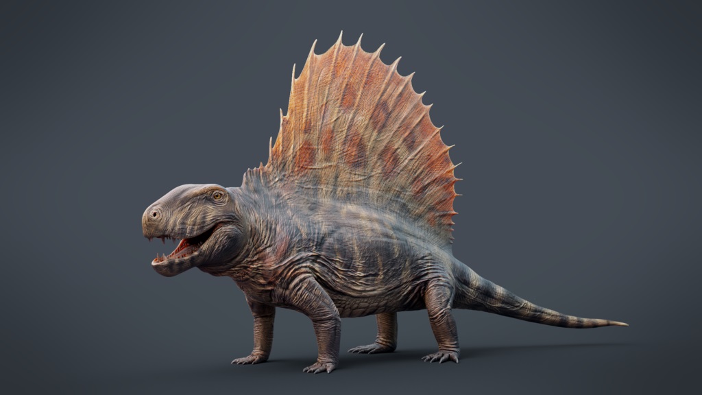 fossil-rich site in china offers new insights into early mammal evolution in the jurassic 2 Dimetrodon four legged mammal like reptile synapsid with spine against grey background