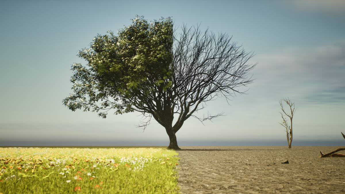 climate change and global warming, drought.