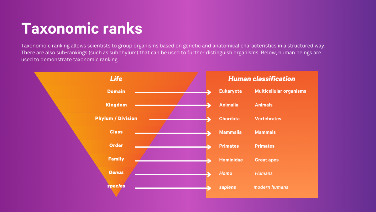 "biological annihilation": extinctions change the trajectory of evolution 1