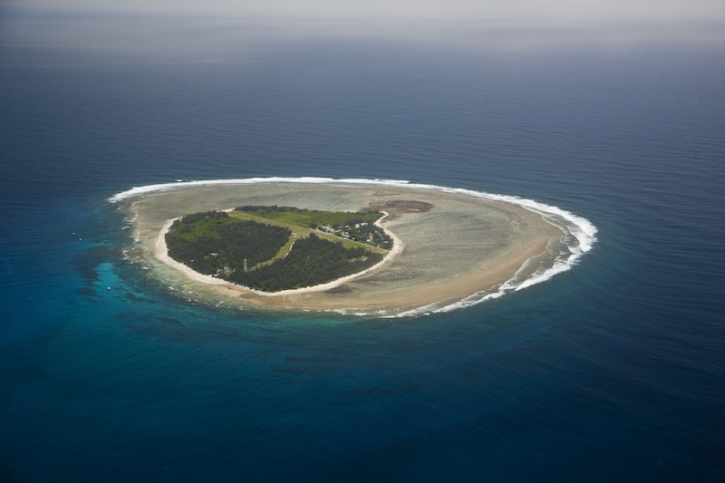 oh my goby! new fish species just dropped 2 Gettyimages 136120956