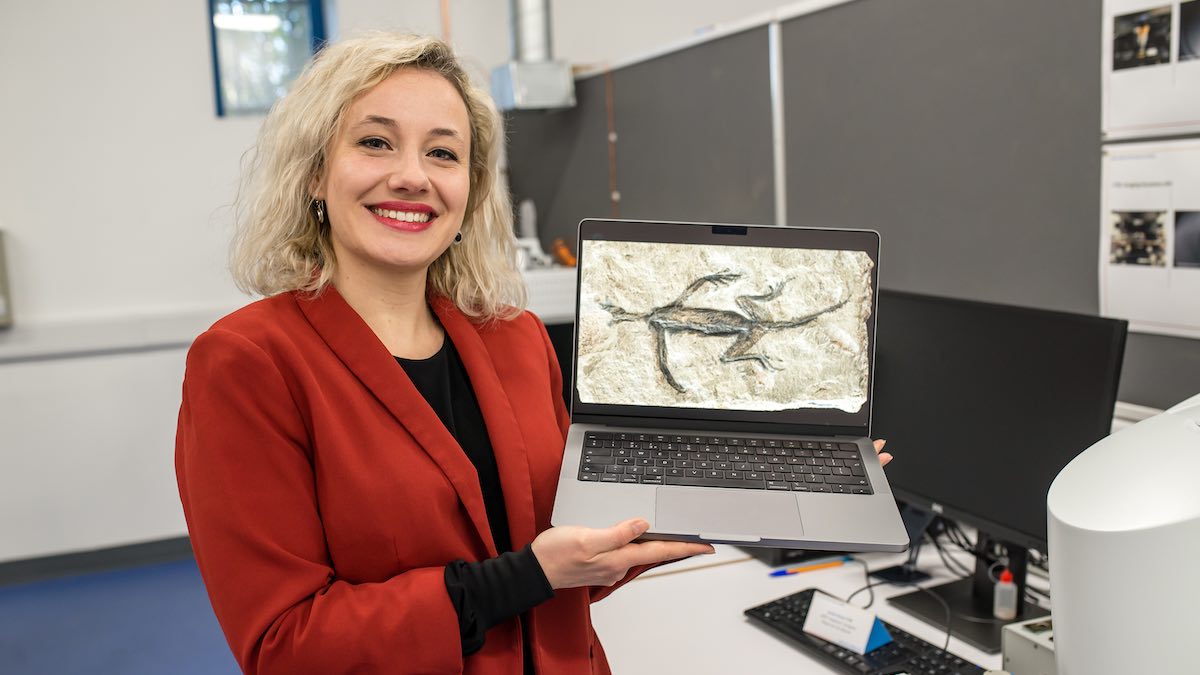 science unearths fossil fakery 1 Dr valentina rossi ucc